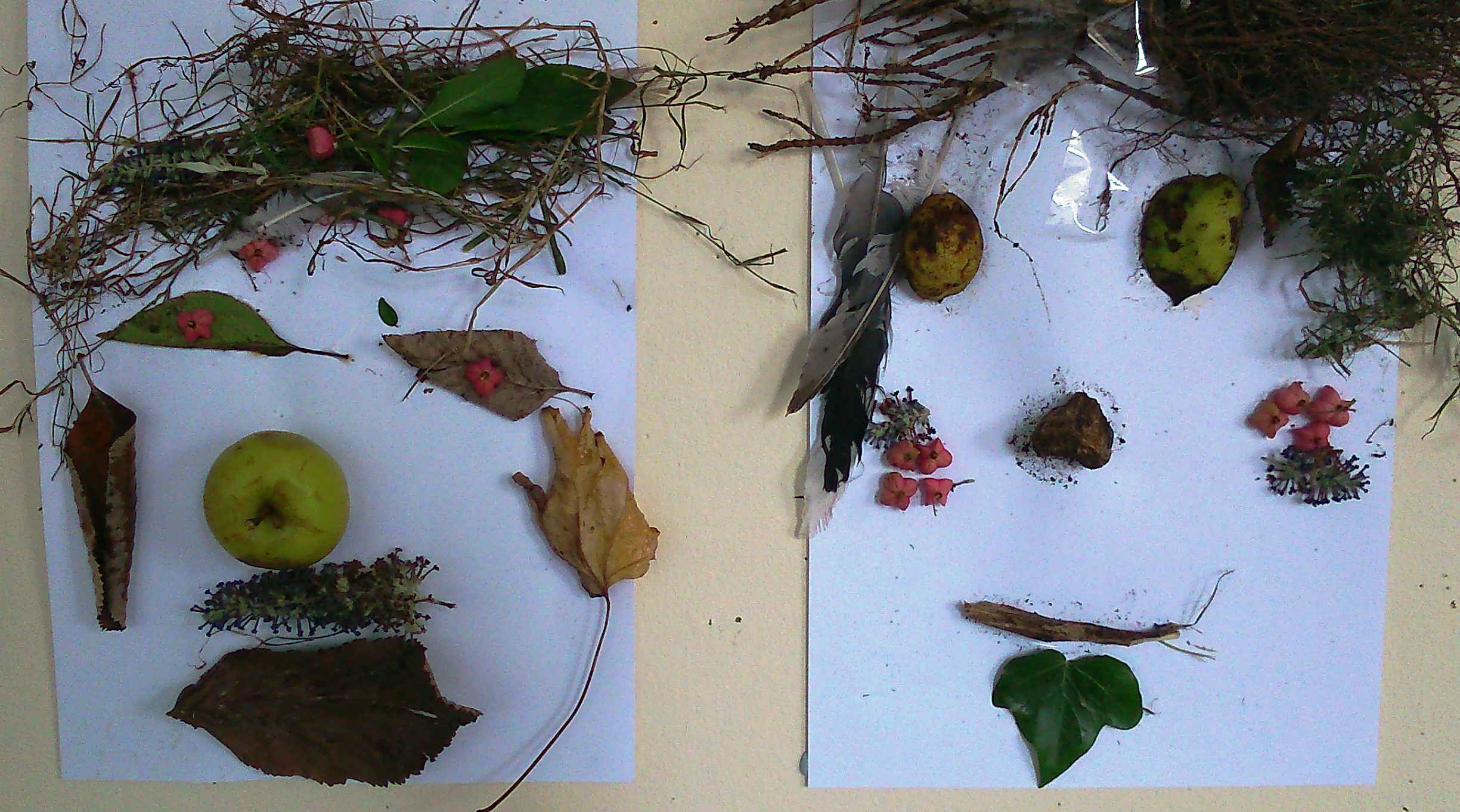 Leaves Faces 3